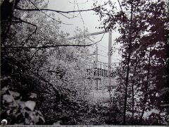 P9098941