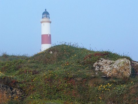 P5310292 Tarbat Ness Lighthouse