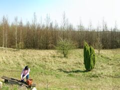 IMG_1502_stitch