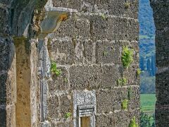 IMG_7298