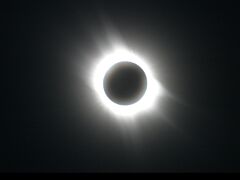 7493