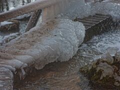 IMG_1359
