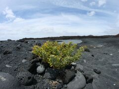 Bei Los Hervideros, IMG_6762