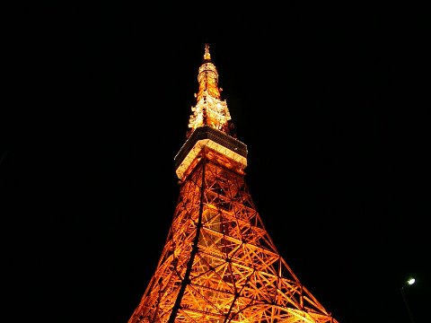 110201 - Tokyo Tower IMG_0449