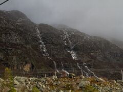 IMG_7874
