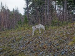 IMG_7898