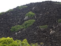 14-Black Mountain i00927
