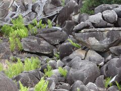 14-Black Mountain i00931