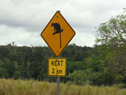 09-Australien Streetsign (Tree Kangaroo) SAM_5079_x2000