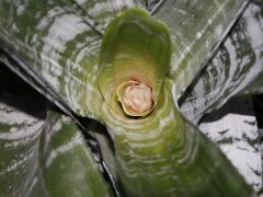 _MG_3926