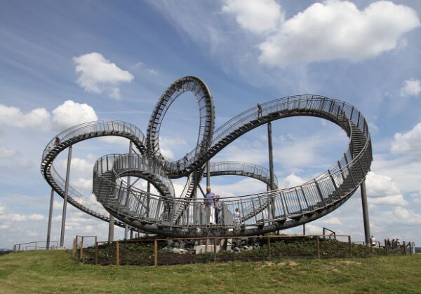 Tiger & Turtle