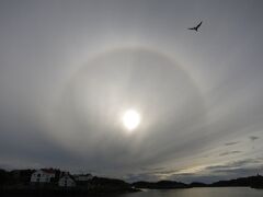 Halo_Lofoten_mit_Möwe_IMG_1868_1500x