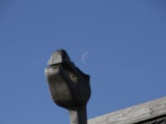 IMG_3599