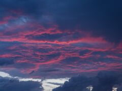 IMG_1503