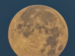 Mond
