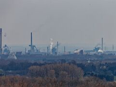 IMG_5425