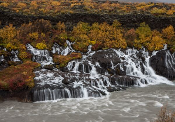 Tag 11 - Reykholt, Hraunfossar