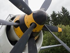 Fairey Gannet, 20160803-IMG_6266