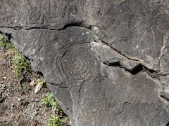 20180309-IMG_4203