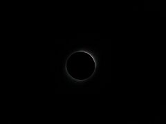 IMG_2691