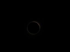 IMG_2698
