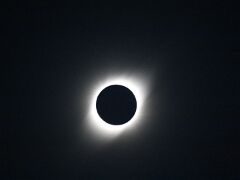 IMG_2722