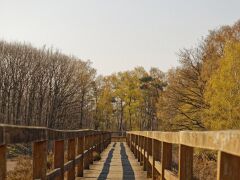 IMG_9640_DxO