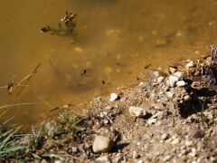 IMG_9647_DxO