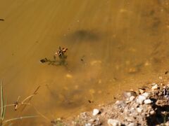 IMG_9649_DxO