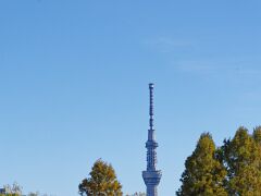 IMG_3675