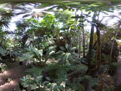 R0010889_PSP
