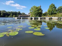 20240810_101810 Weiher bei Schloss Tüschenbroich