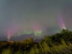 IMG_2950