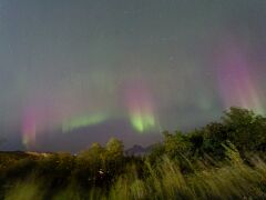 IMG_2958