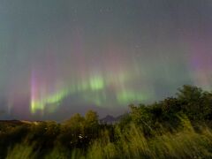 IMG_2973