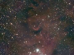 NGC 2264 - Christmas Tree Cluster, Konusnebel,1766734836047 NGC 2264