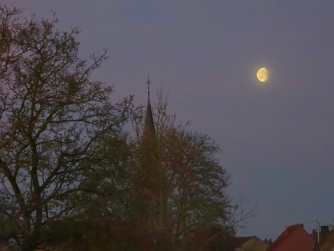 20260406_064651-1