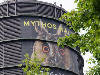 05 - Gasometer, Mythos Wald