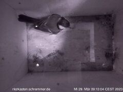 2023_03_29__09_13_04_CEST