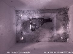 2023_03_29__12_02_05_CEST