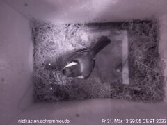 2023_03_31__13_39_05_CEST