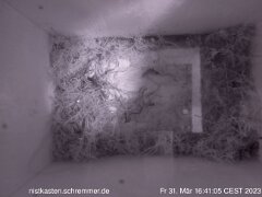 2023_03_31__16_41_05_CEST