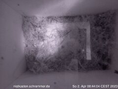 2023_04_02__08_44_04_CEST