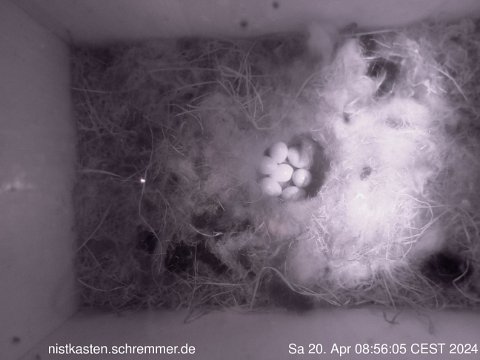 2024_04_20__08_56_05_CEST