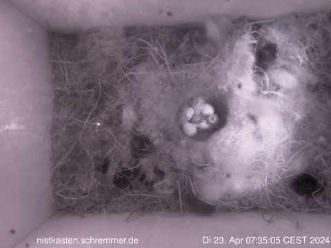 2024_04_23__07_35_05_CEST