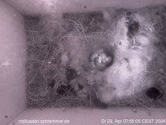 2024_04_23__07_55_05_CEST