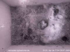 2024_04_23__08_17_04_CEST