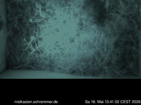 2026_05_16__13_41_02_CEST