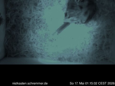 2026_05_17__01_15_02_CEST