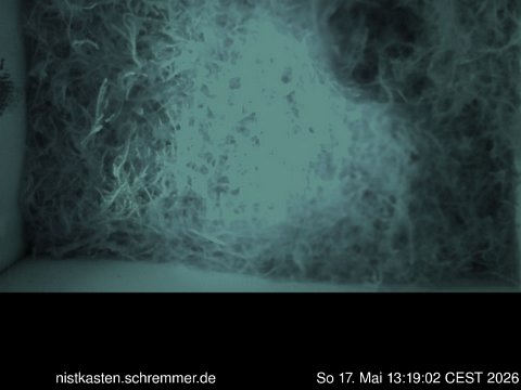 2026_05_17__13_19_02_CEST